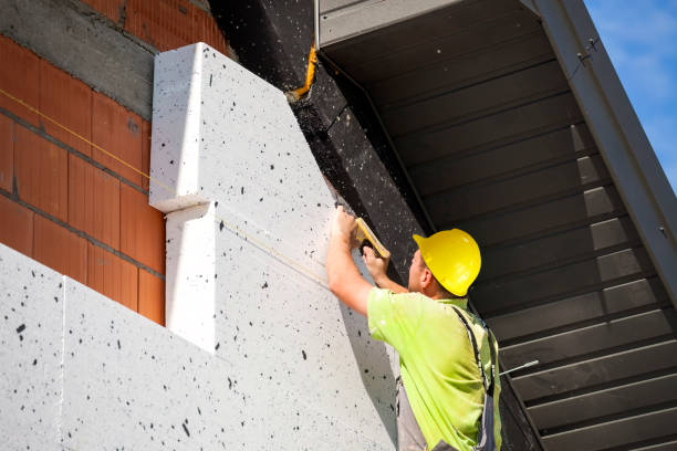 Best Attic Insulation Installation  in Paloma Creek South, TX